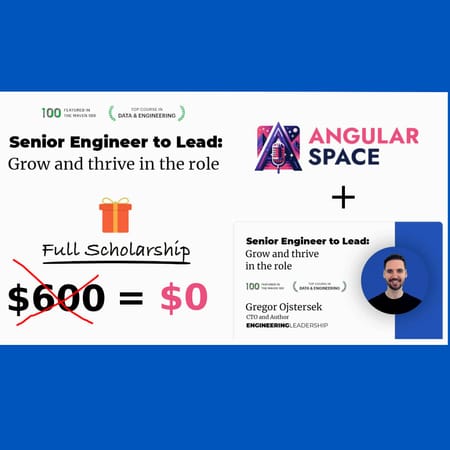 Image of: Senior Engineer to Lead - Full Scholarship 1x Giveaway